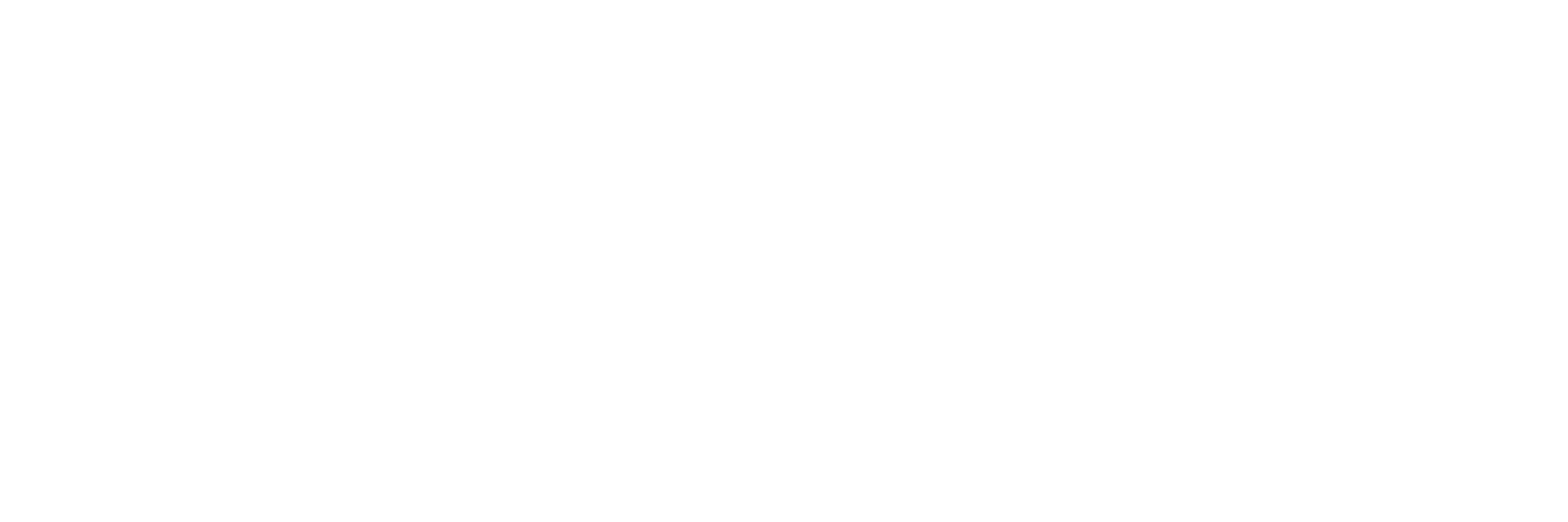 Grafik_Paket_weiß3