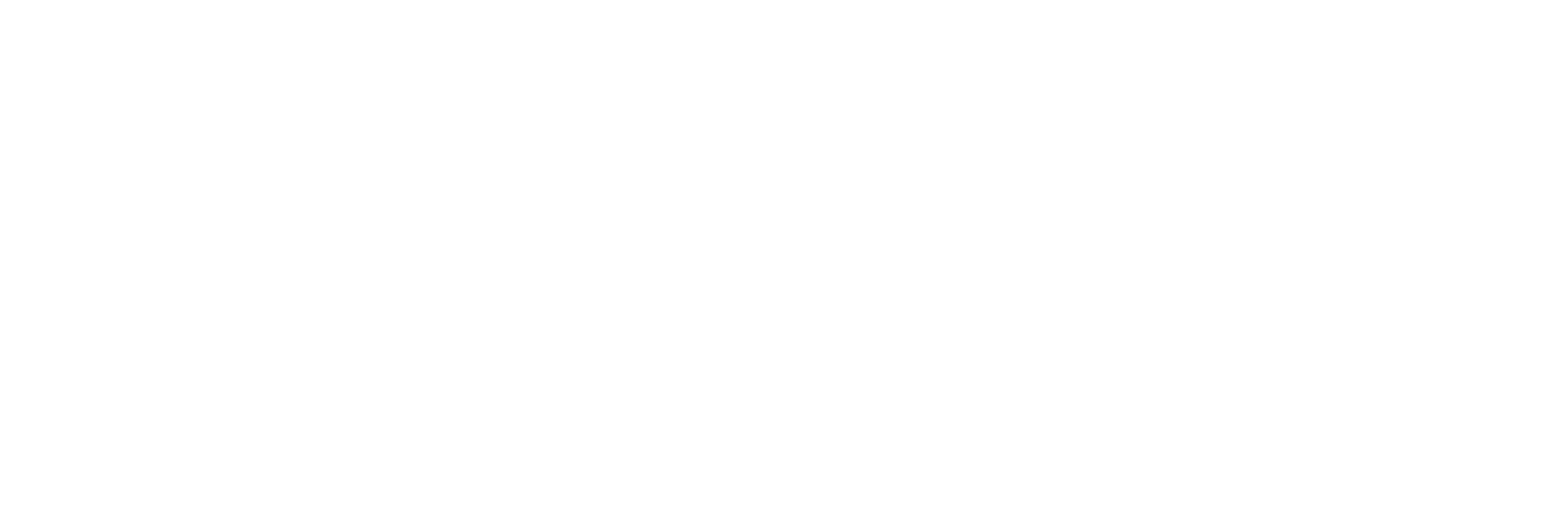 Grafik_Paket_weiß4